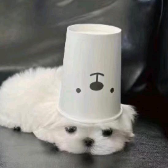 星星控