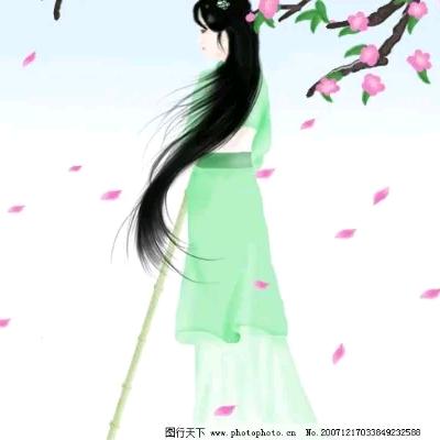 天下掉下个林妹妹