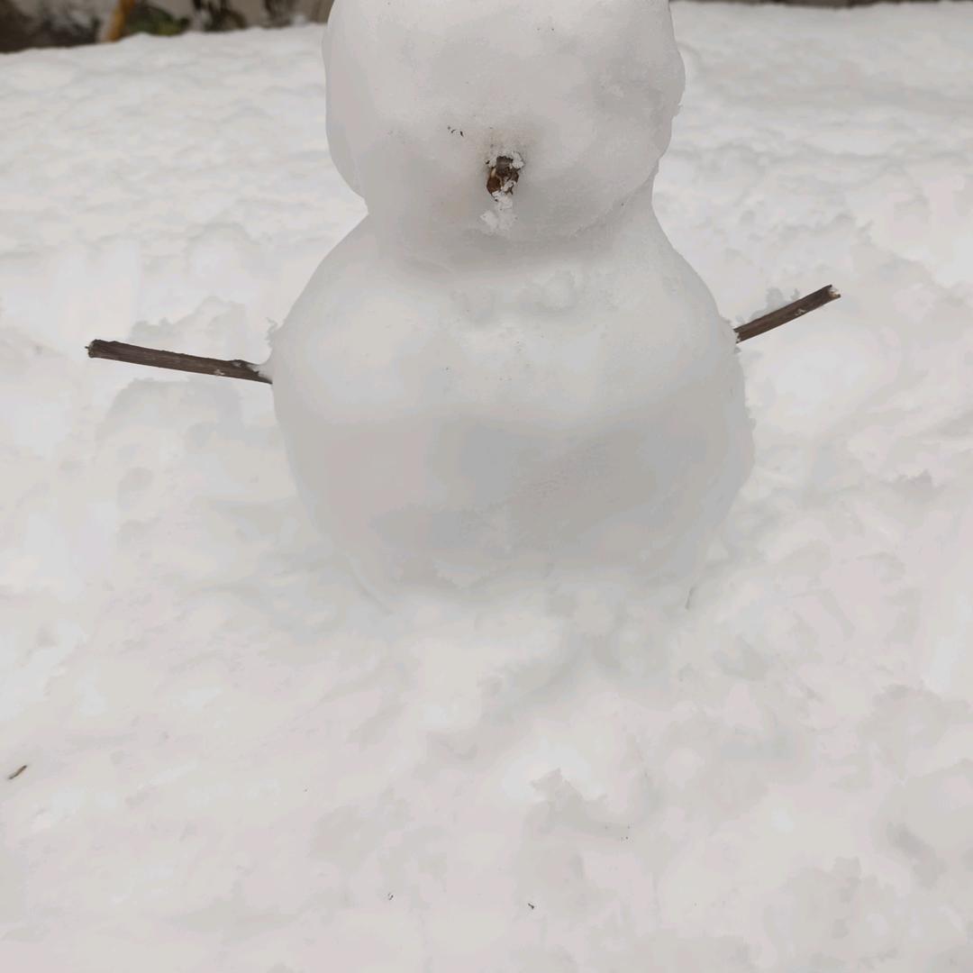 糜竺