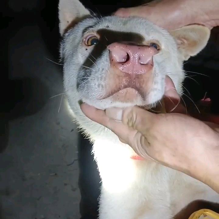 往事不堪回首