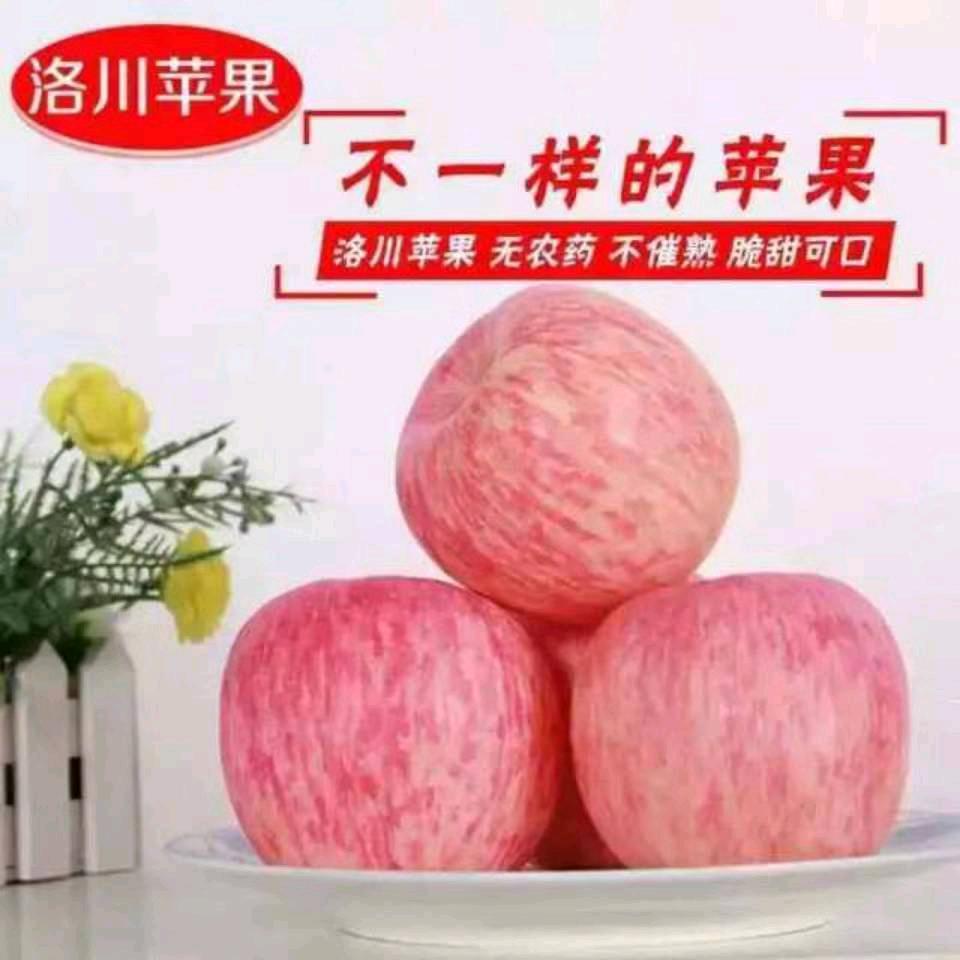 园艺师
