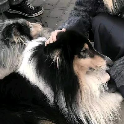还是