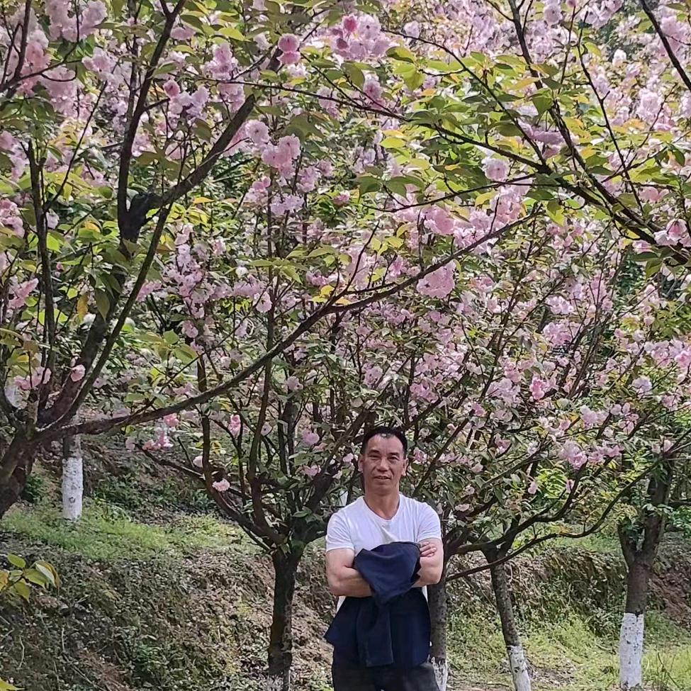 江湖浪子