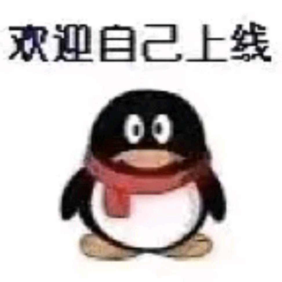 AAA精品纯棉裤衩批发免费上门安装