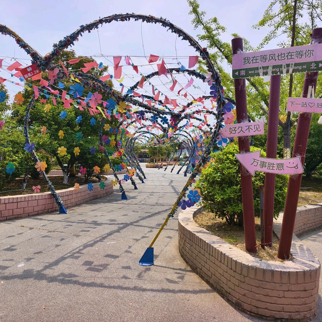 丽姐