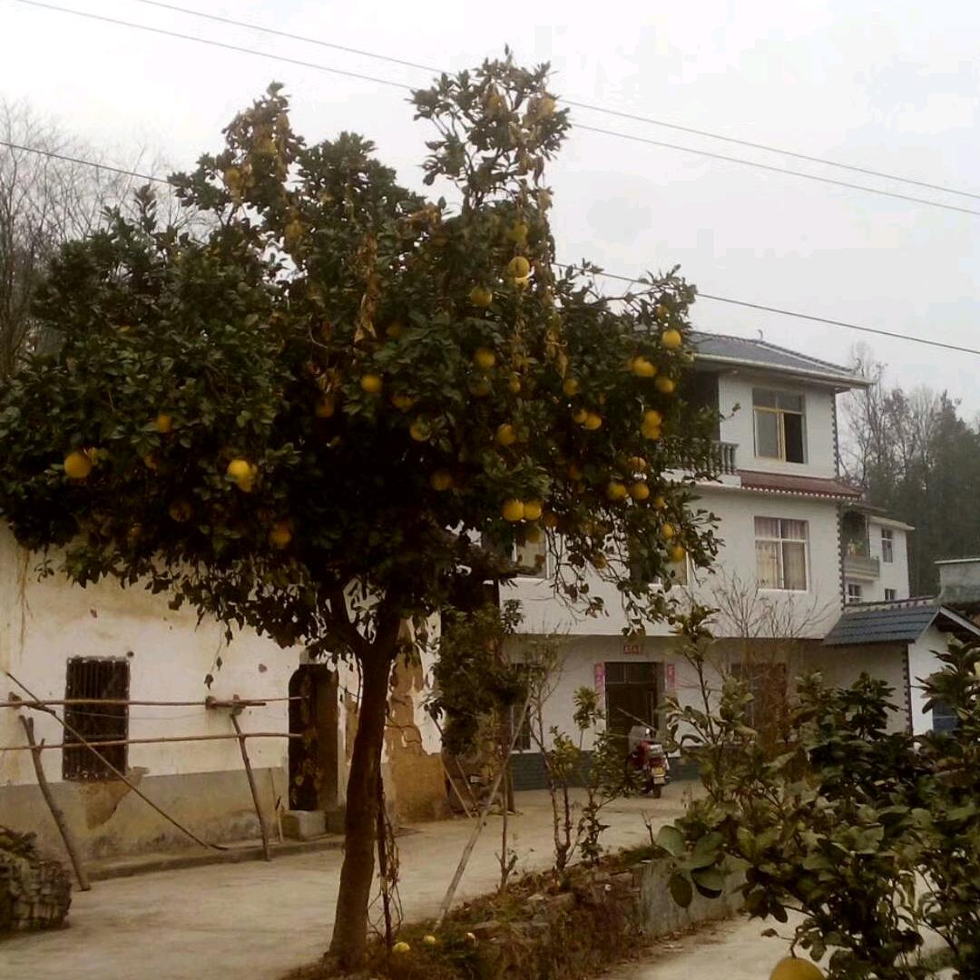 满家美好