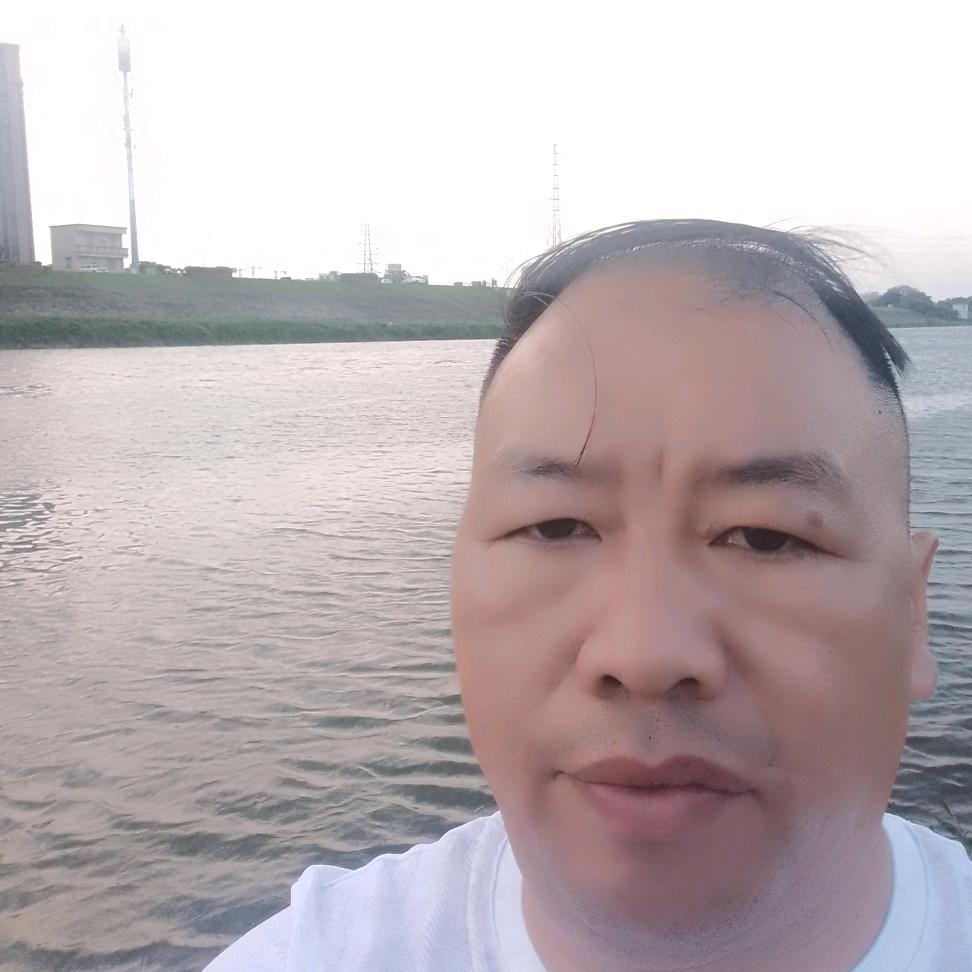 驼歌