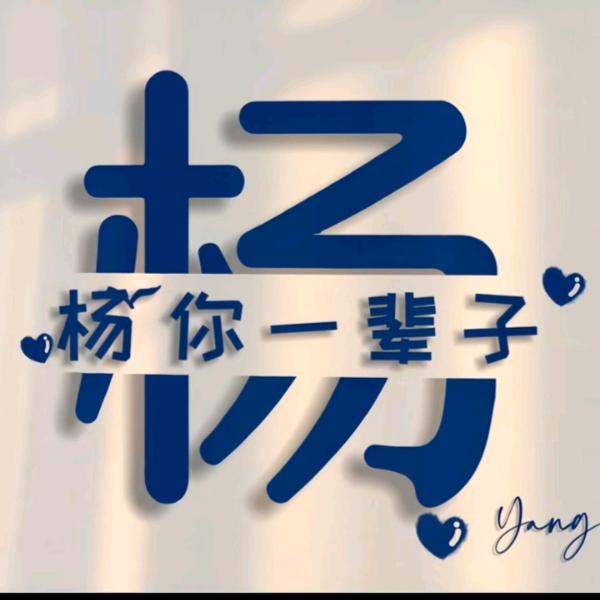 @杨老保险