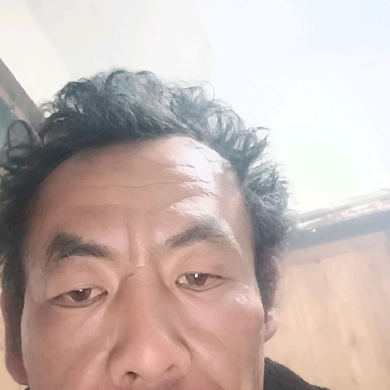 楊仕录