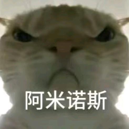 小学生俱乐部（EXC）