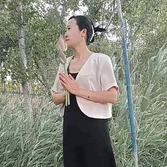 微山湖里的一朵莲
