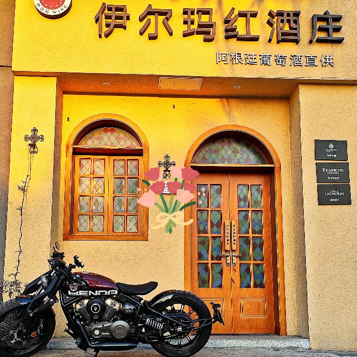 伊尔玛