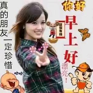 兰花草  天天幸福快乐