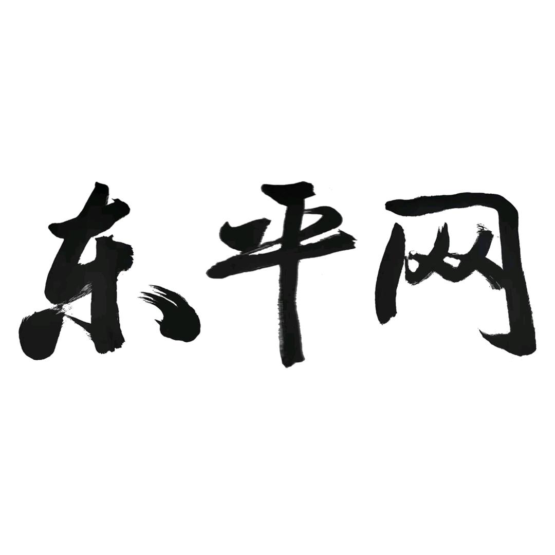 东平网
