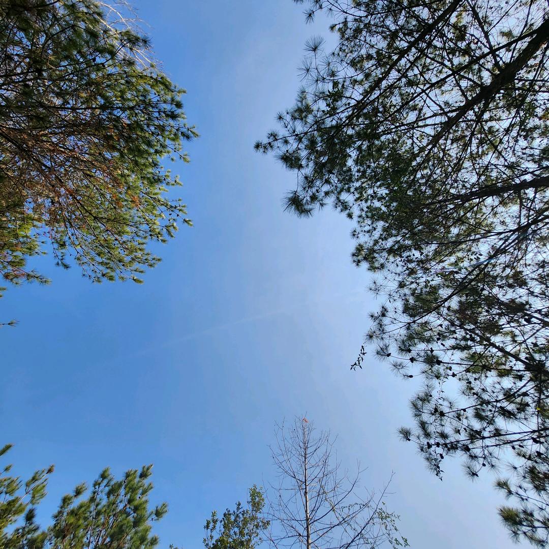万维智能科技