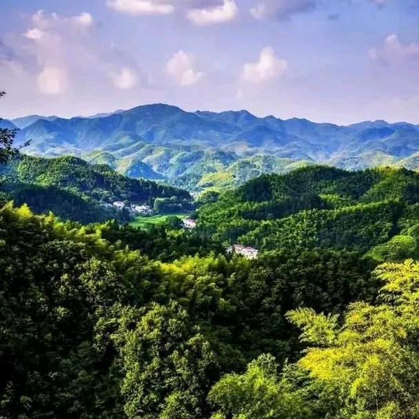 山村野夫