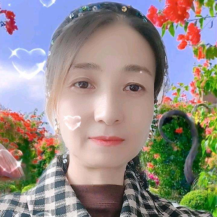 粉红的回忆
