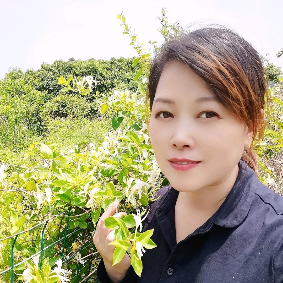彩虹姐