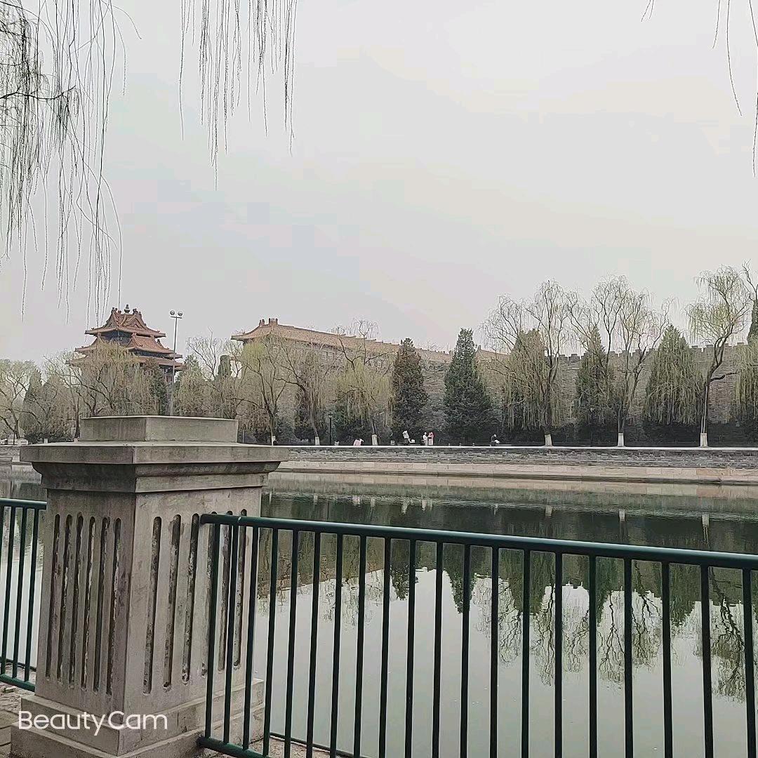 隐藏野心
