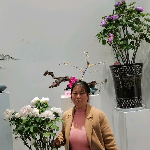 平安就是福