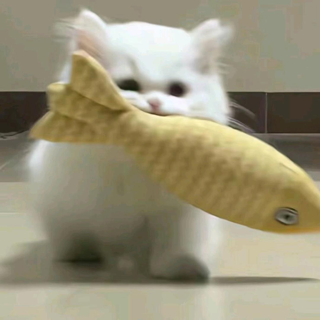 云云好物☁️