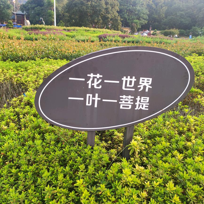 阳阳书单