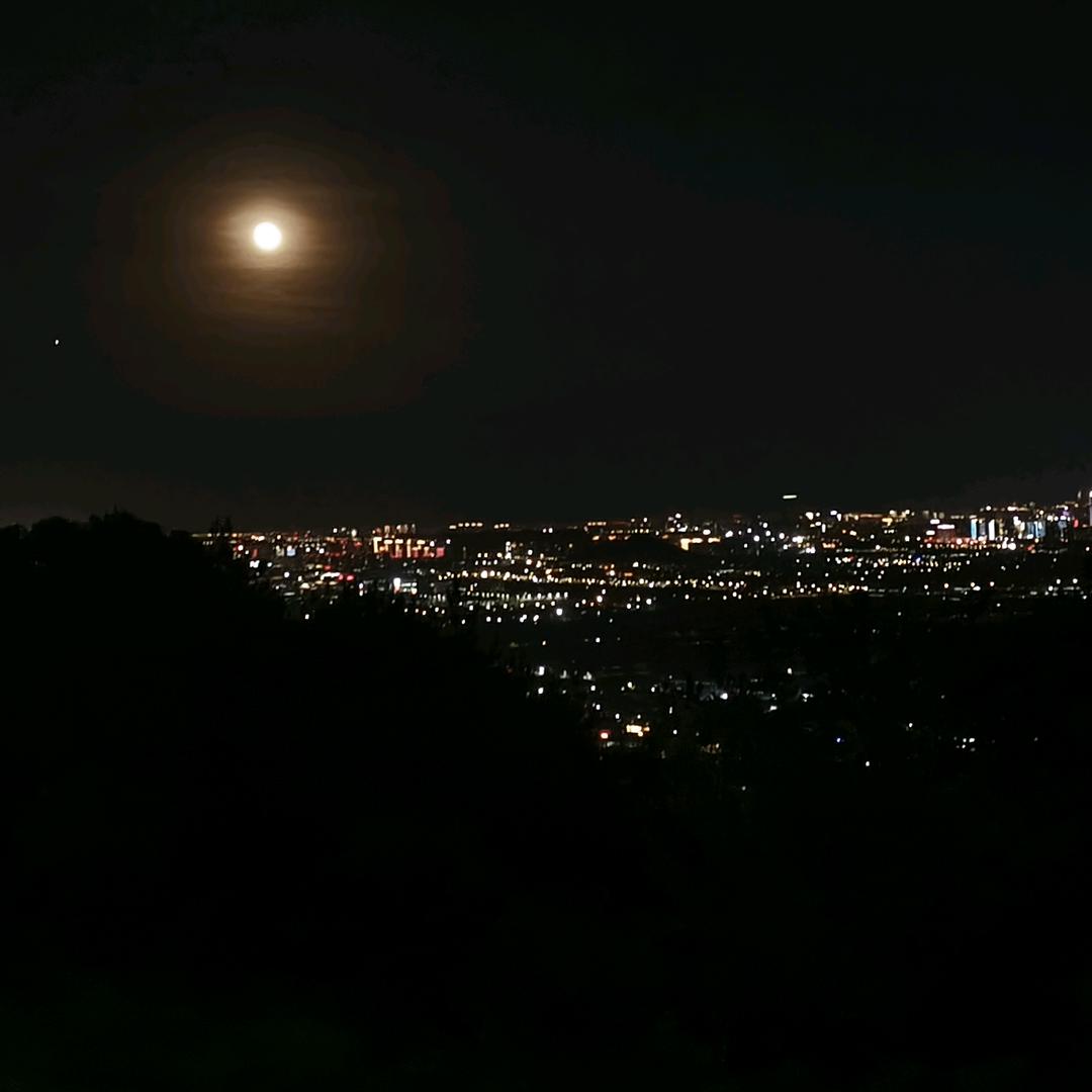 楊楊
