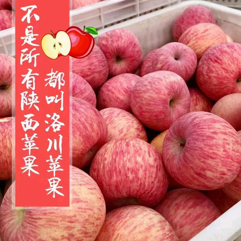 勇望直前