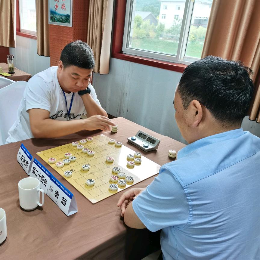 隐龙象棋