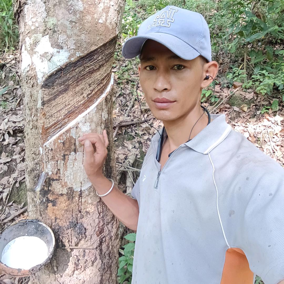 版纳勇哥晓毕