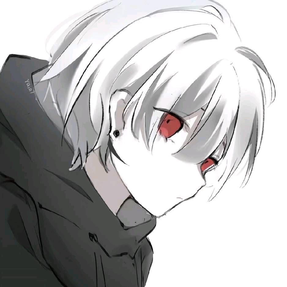 飞鹤