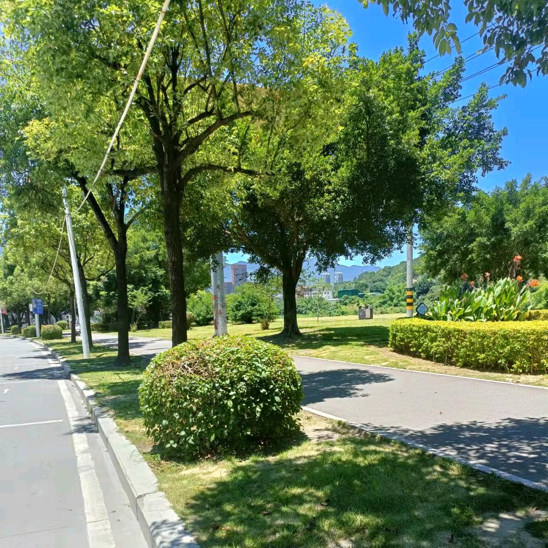 诚馨优选好物分享 ✏谢绝连赞ঞ