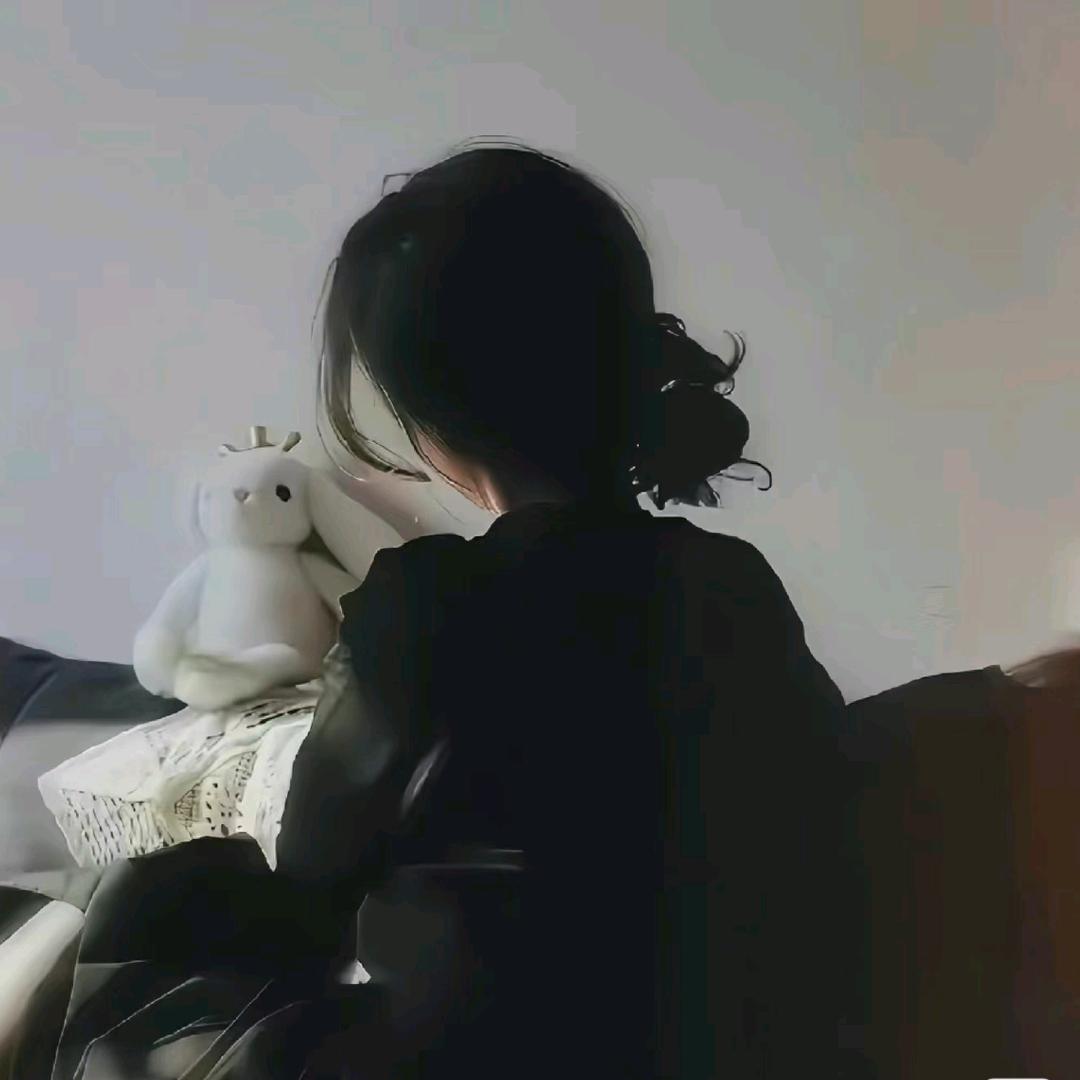 红小虎🐯