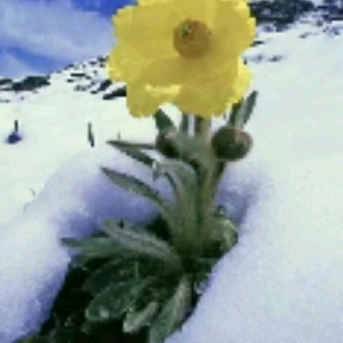 次旺电子数码