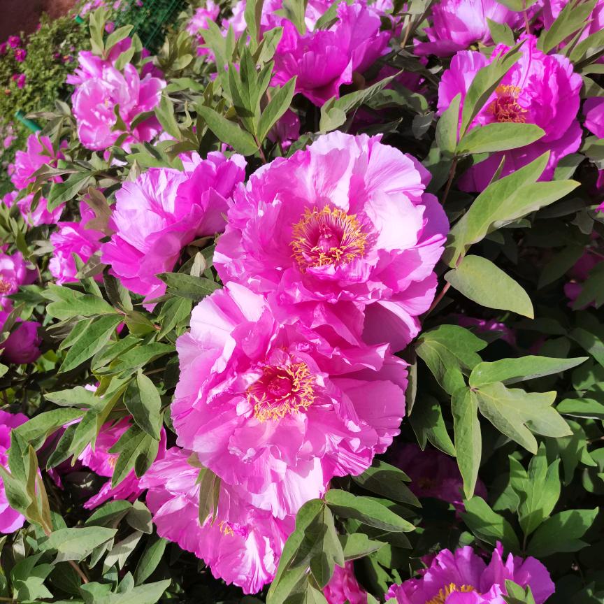 幸💝福🌹人❤️生