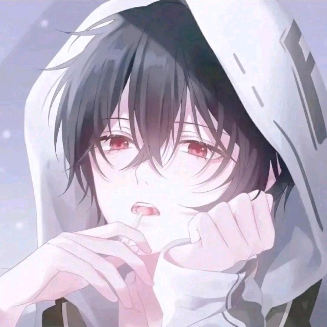 猫柚💫