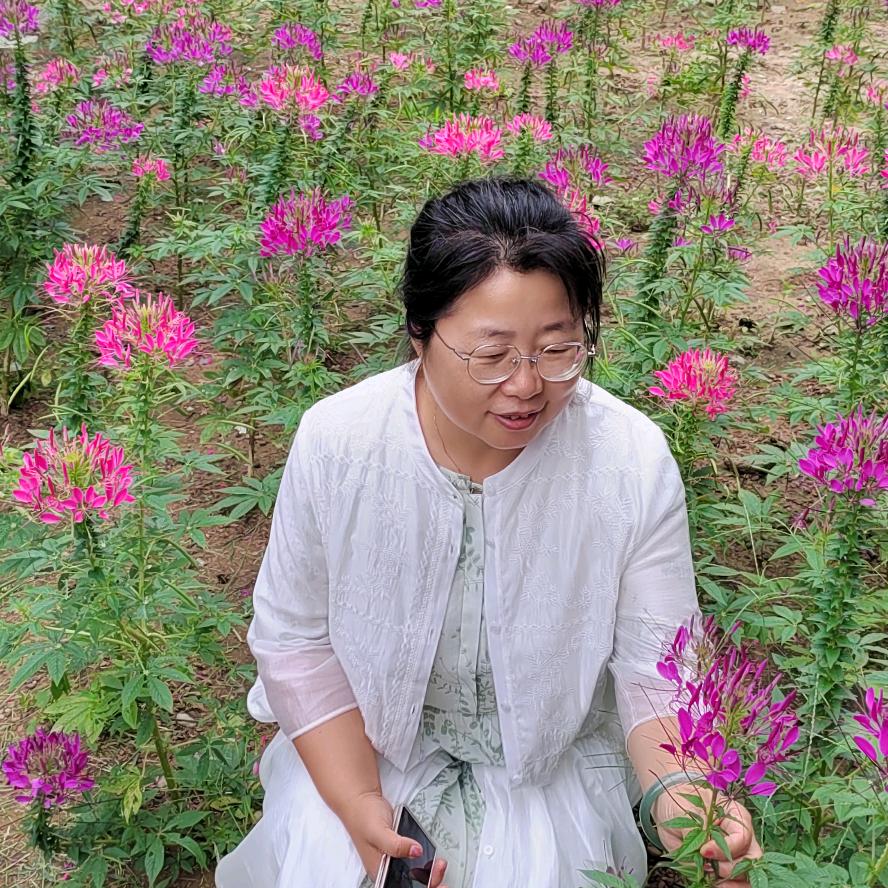齐齐哈尔双丰旅游