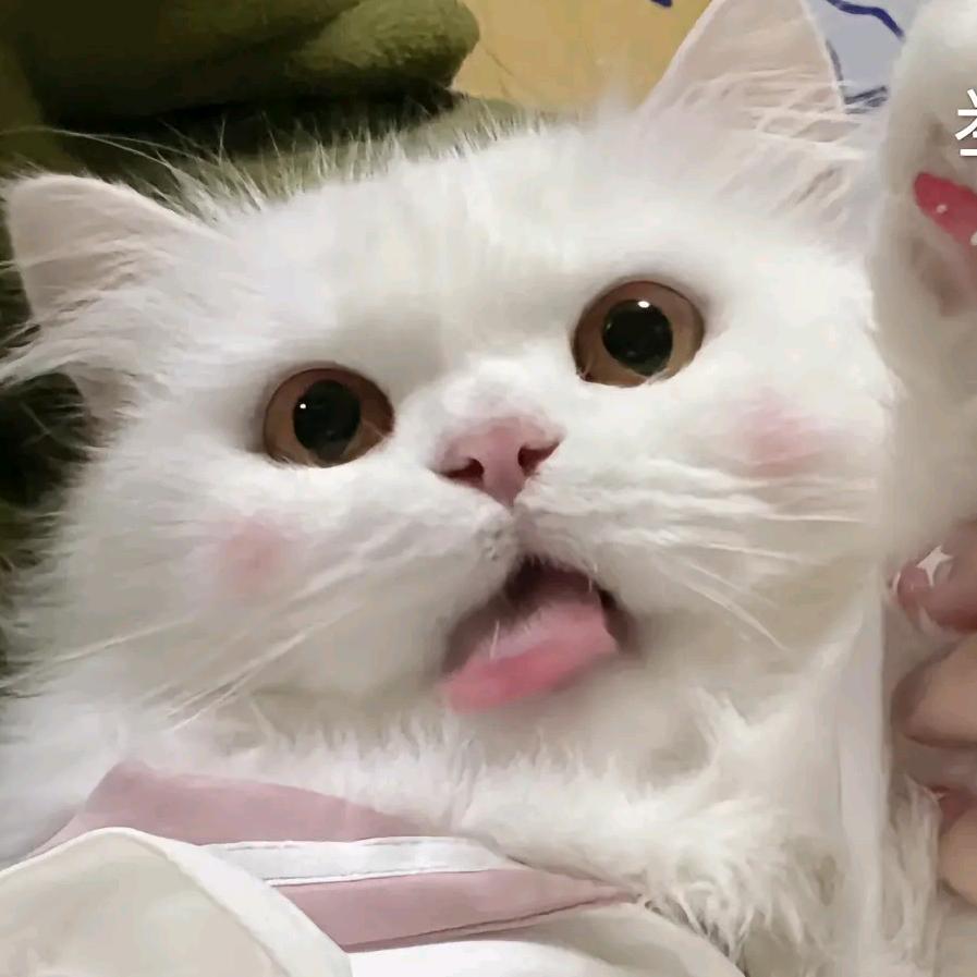 潮仔玩公仔