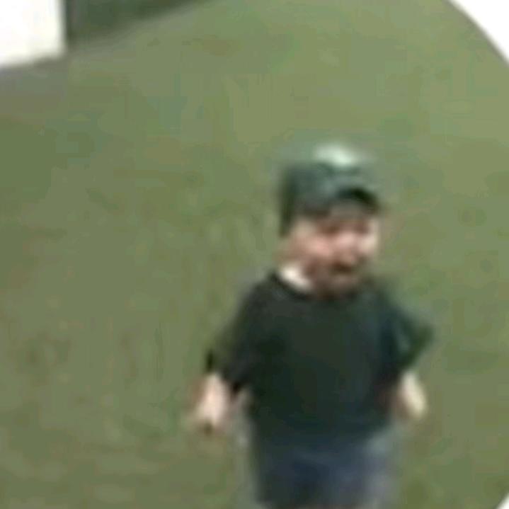 利莎