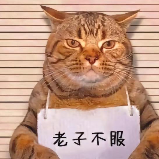 辣条董事长