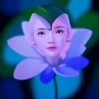 清水芙蓉.
