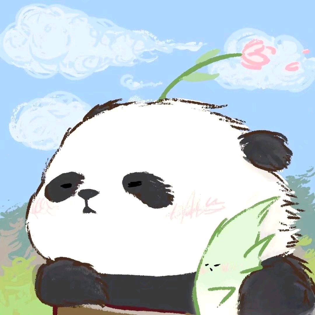 cc熊