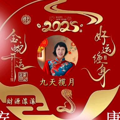九天揽月