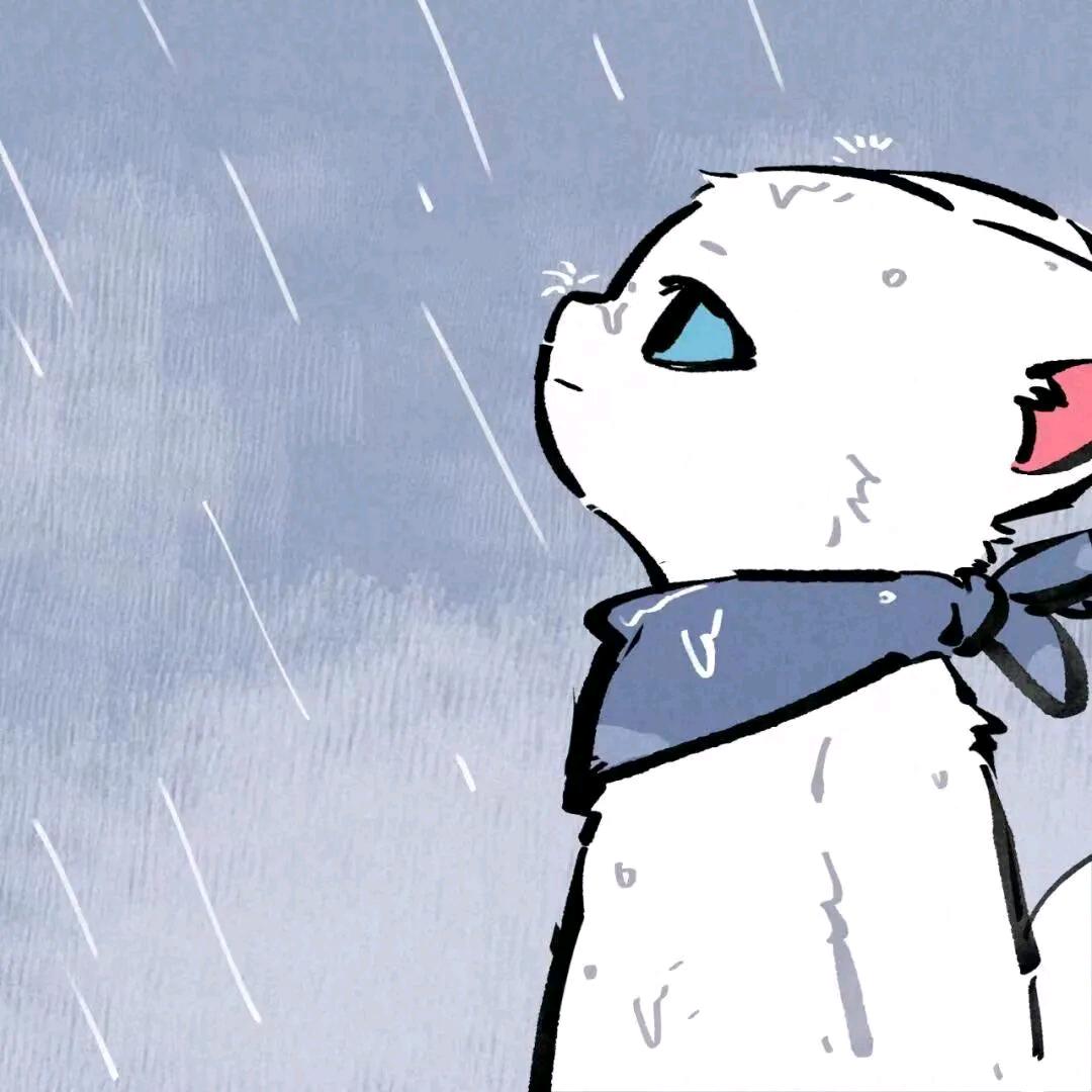 星河不入眼
