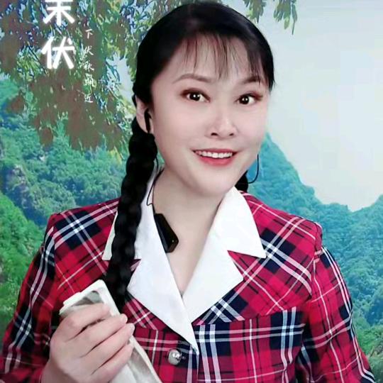 河北王银环