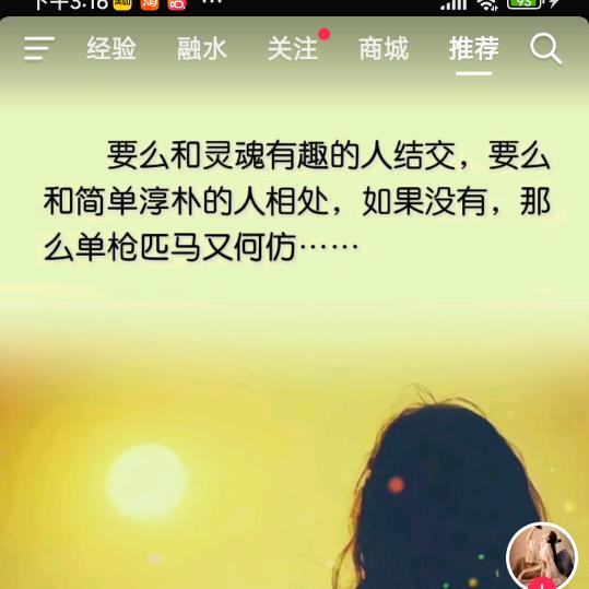 不与鸟争