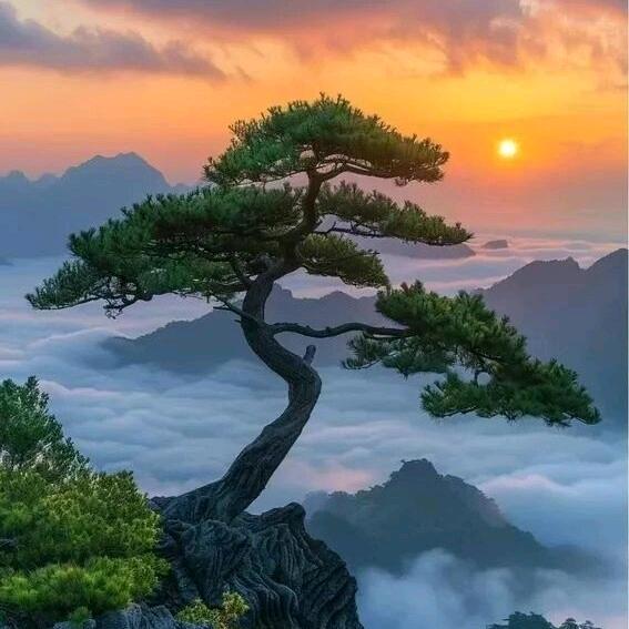 鸣泉