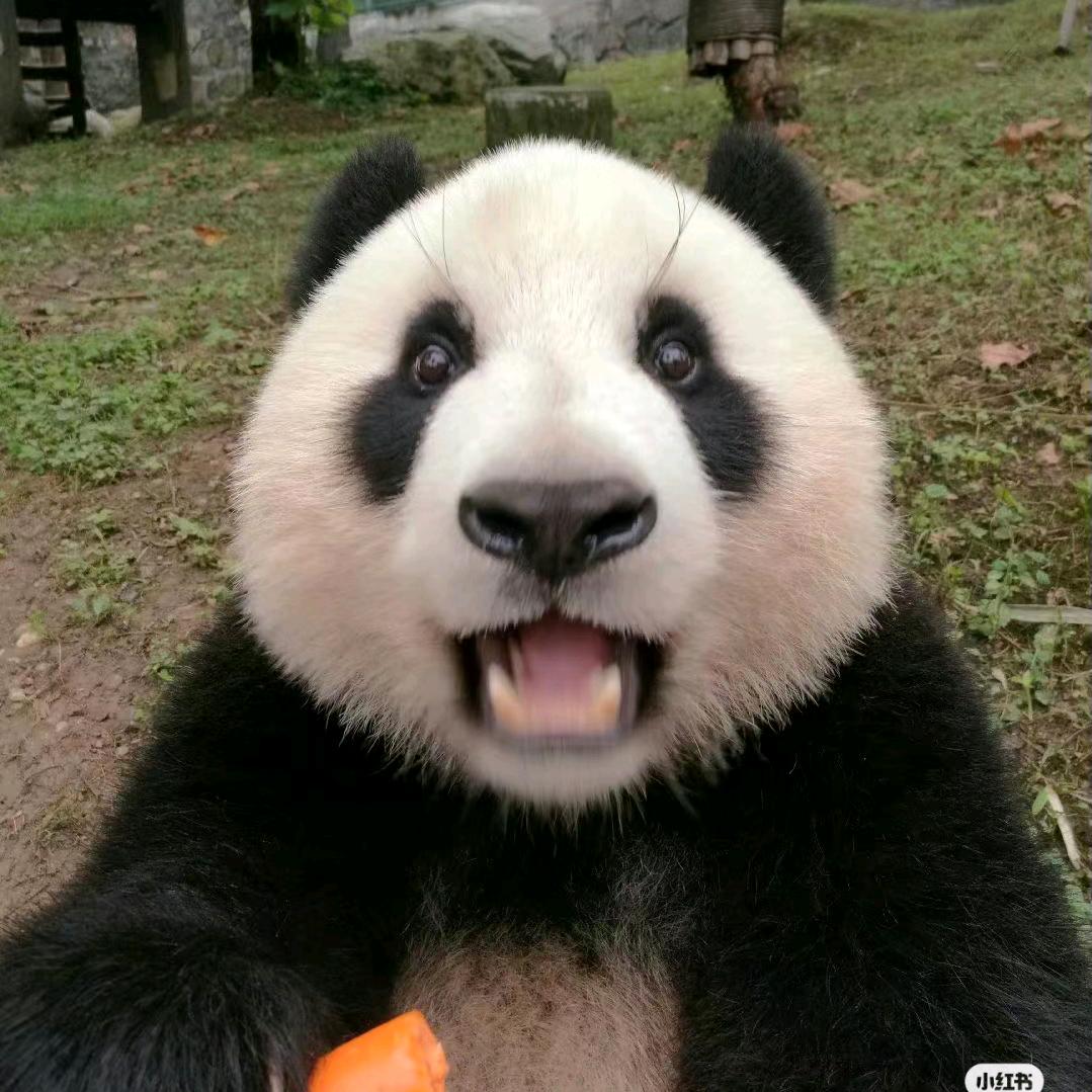 自然认知日记