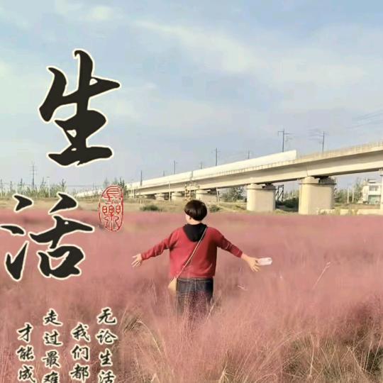 拒绝融化的冰