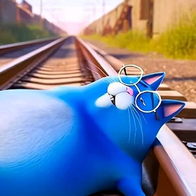 月半猫本猫